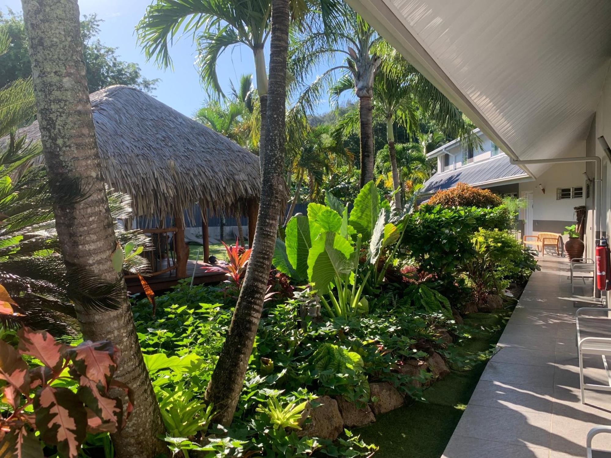 Tiki Ora - Hura * Bora Bora